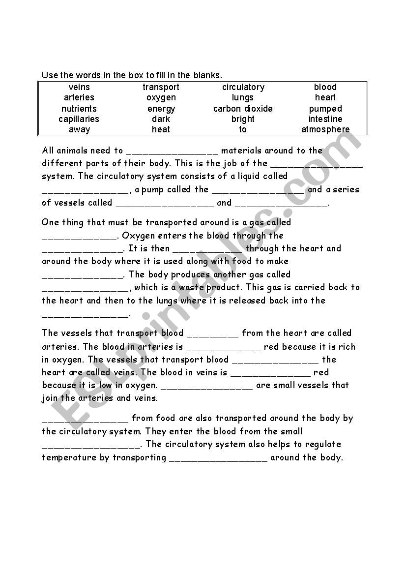 printable circulatory system worksheet pdf