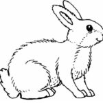 Coloring Page Rabbit ColoringMe