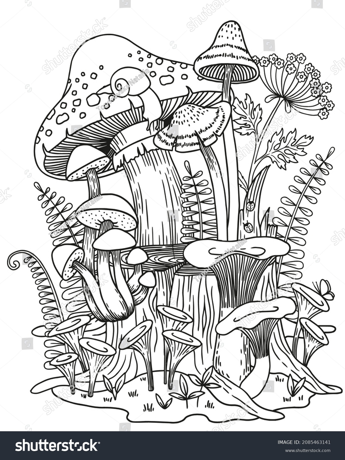 Coloring Pages Of Mushrooms