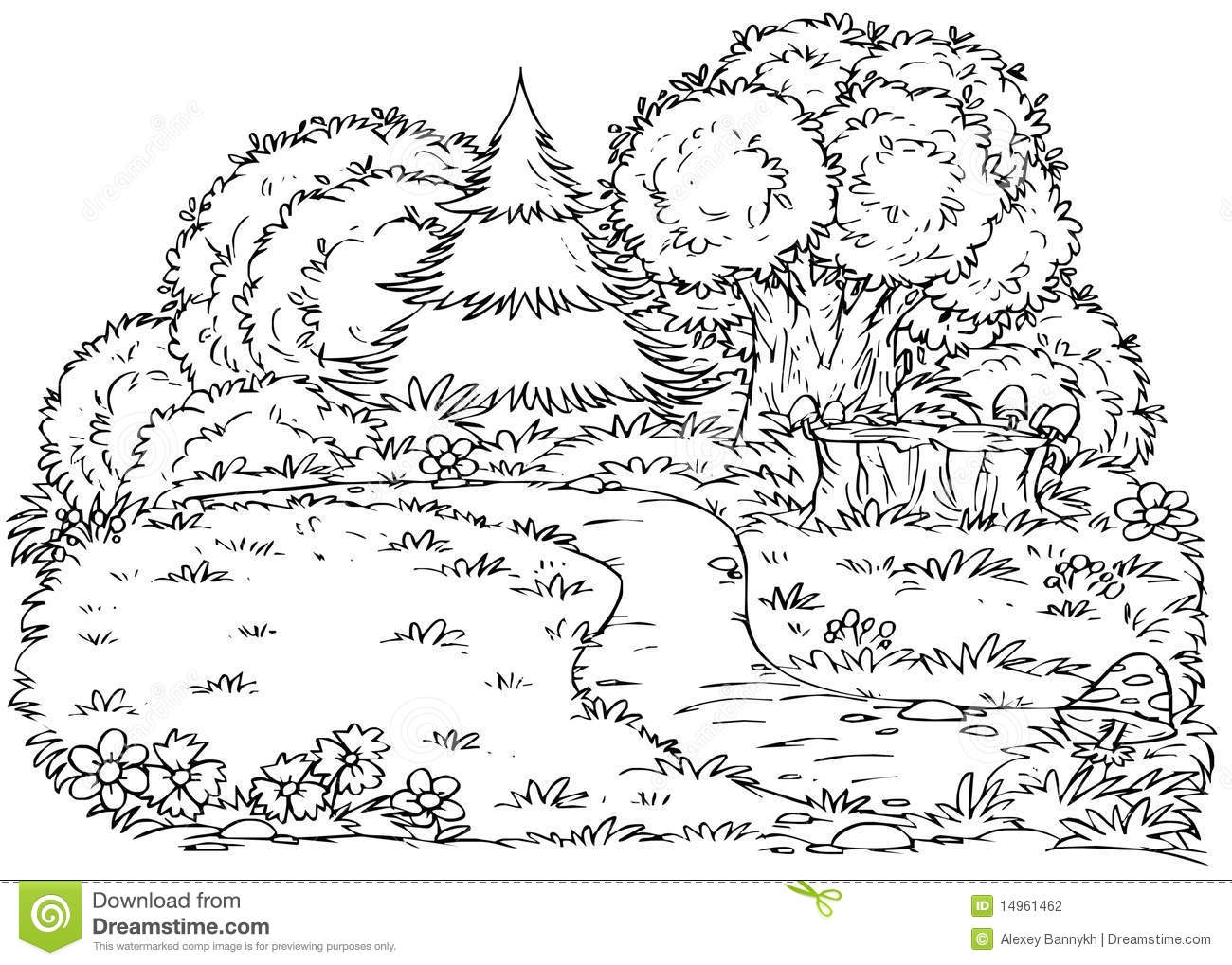 Coloring Pages Of Forest Coloring Home