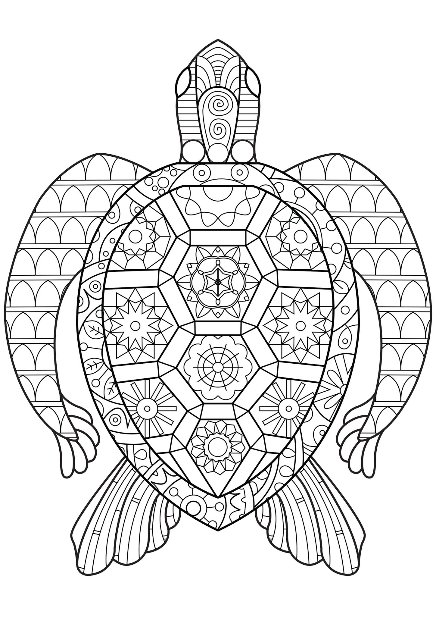 Coloring Pages Turtle Coloring Print