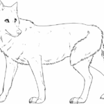 Coloring Pages Wolves Coloring Home