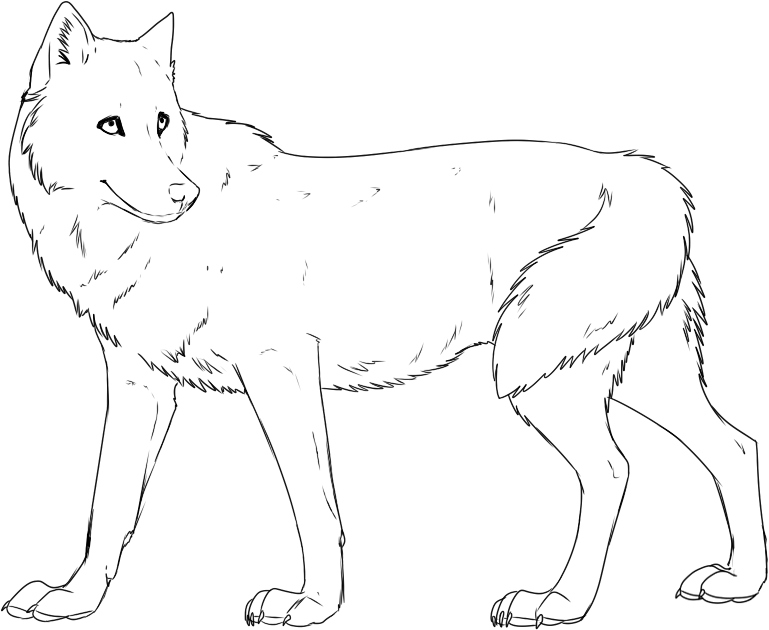 Coloring Pages Wolves Coloring Home