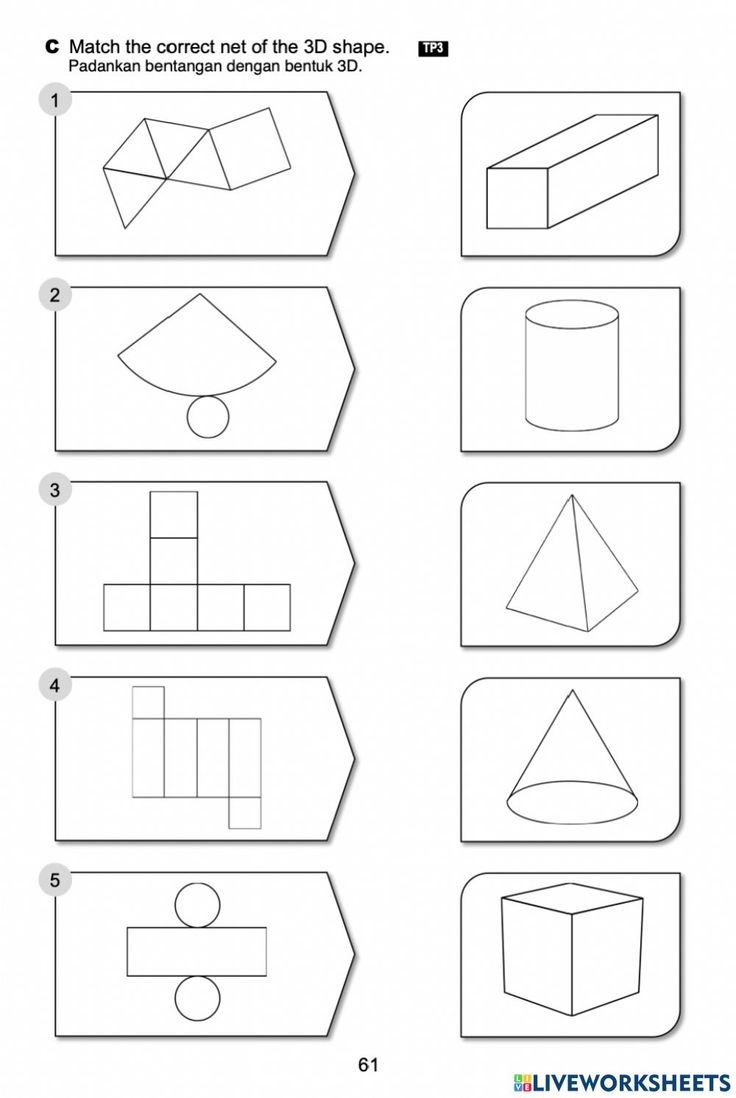 Construct Nets Of 3D Shapes Worksheet Shapes Worksheets 3d 