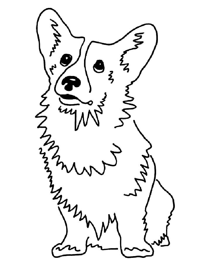 Corgi Coloring Pages Free Printable PDF 