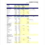 Corporate Budget Planning Worksheet Budgeting Worksheets