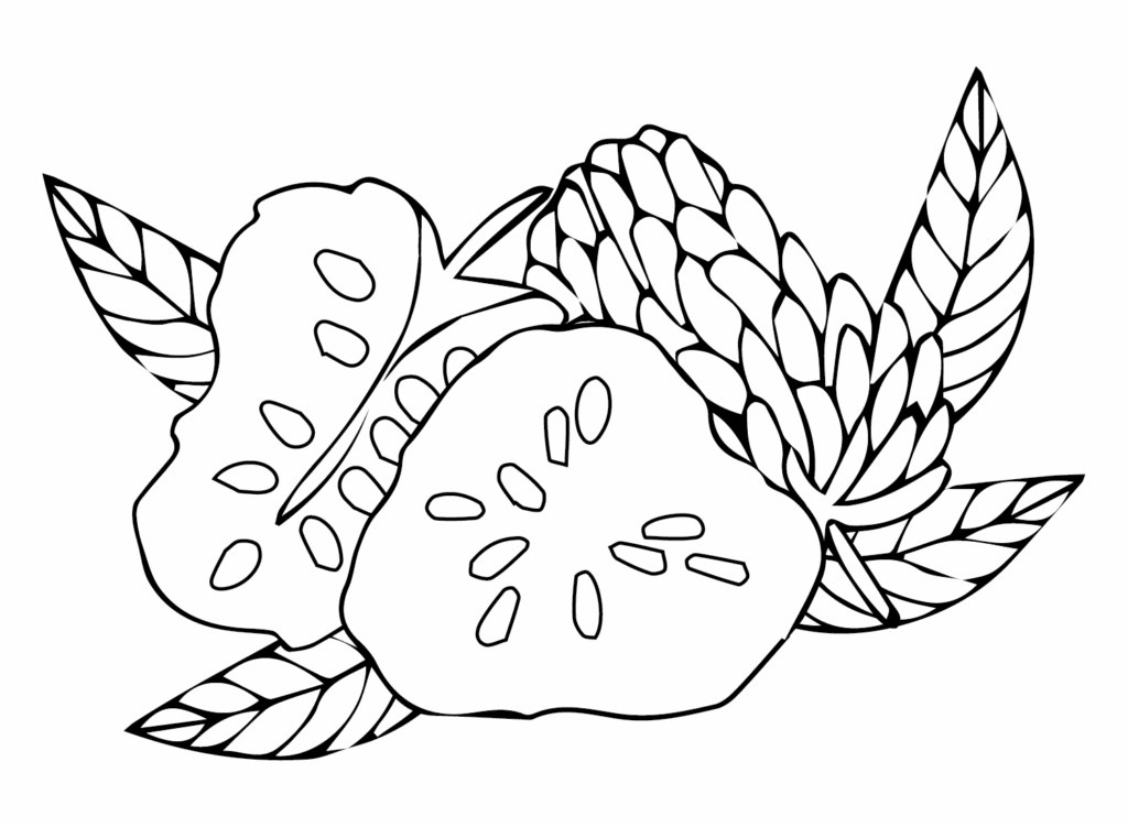 Custard Apple Fruit Coloring Page Free Printable Coloring Pages