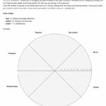 Dimensions Of Wellness slowchathealth Worksheets Library