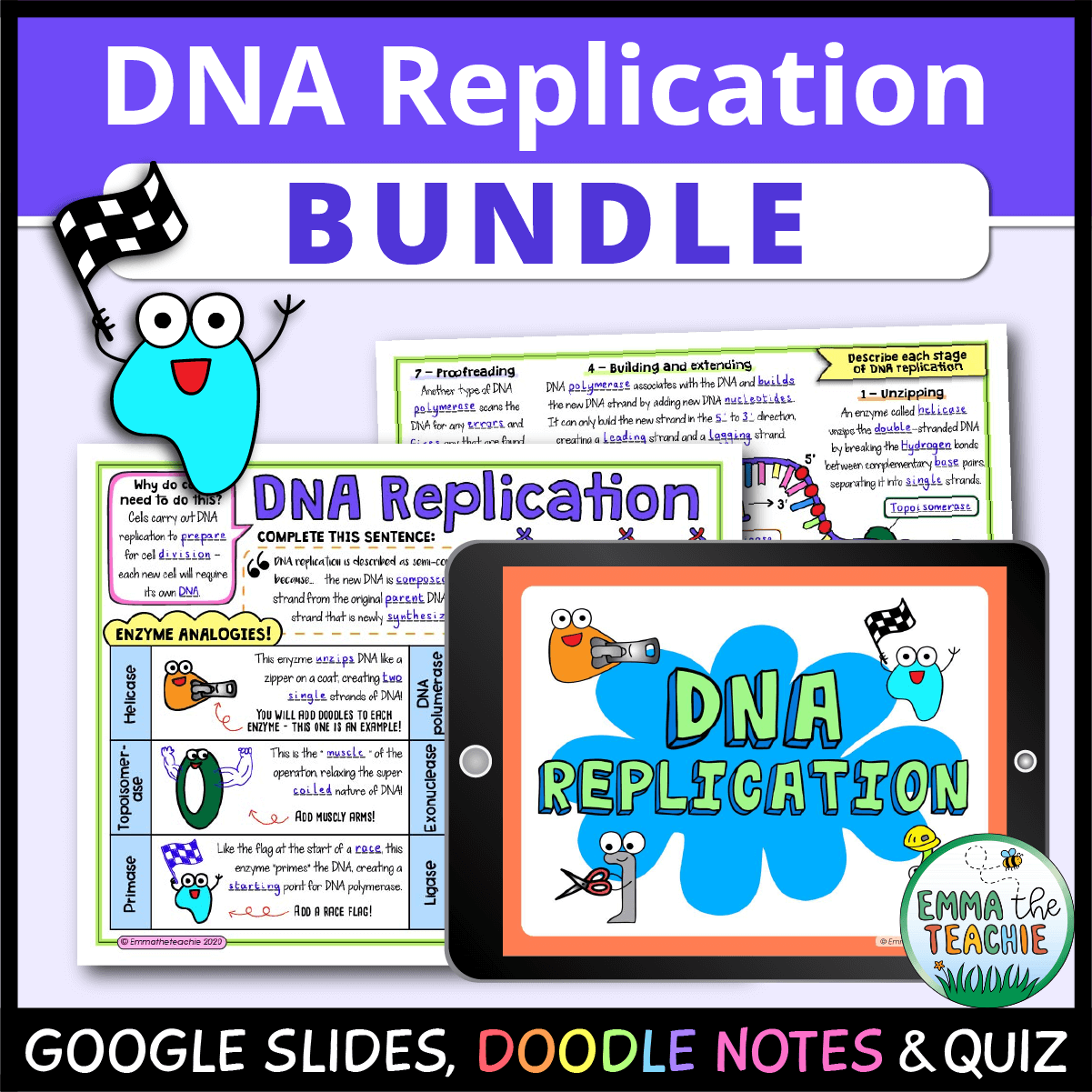 DNA Replication Bundle Worksheets Library