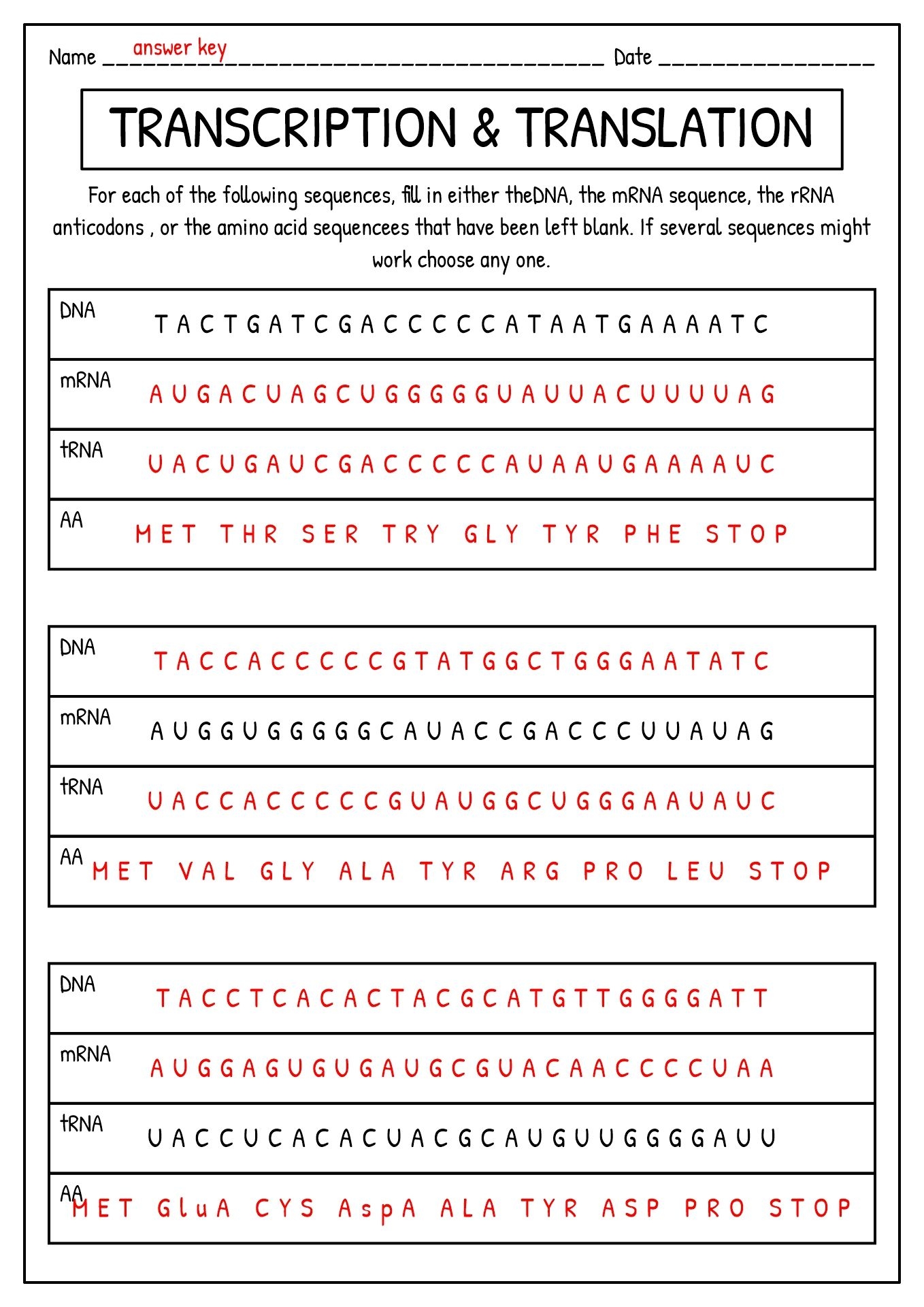 DNA Synthesis Worksheet Simplify And Enhance Your Learning