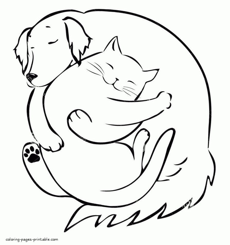 Dog And Cat Sleeping Together Coloring Page COLORING PAGES PRINTABLE COM