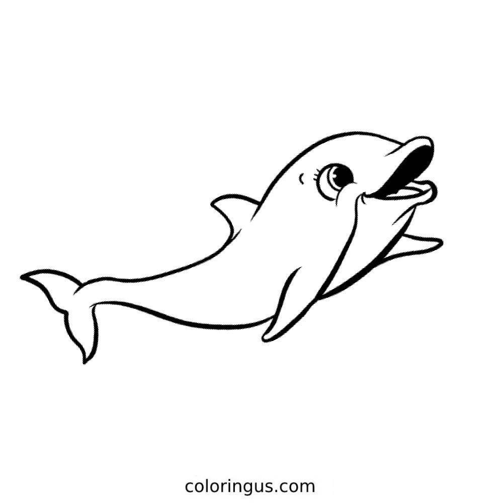 Dolphin Color Pages