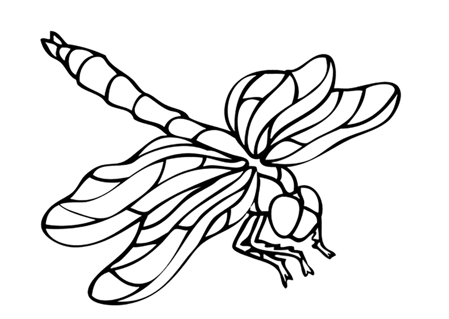 Bugs And Insects Coloring Pages
