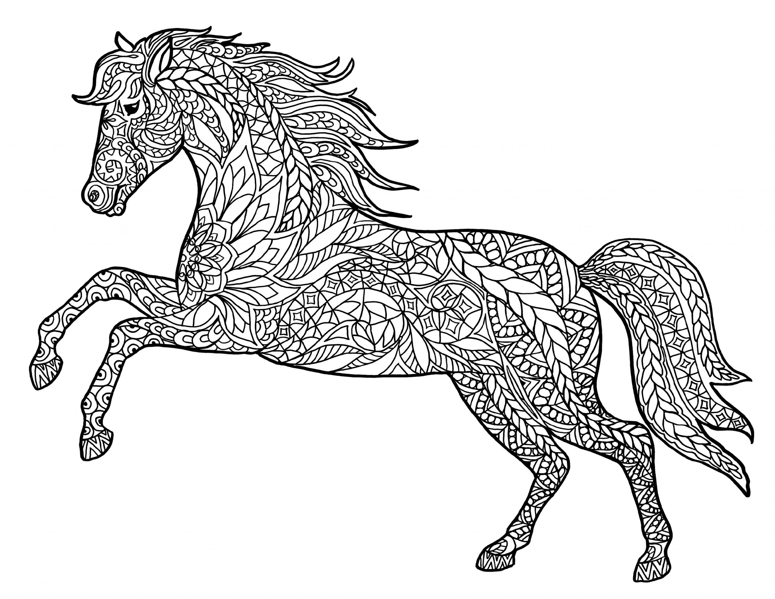 Equine Horse Color Pages For All Ages 101 Activity
