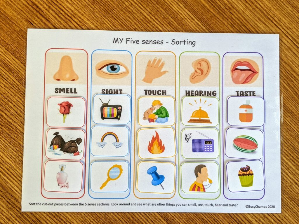 Explore Your Five Senses Printable Free Worksheet For Kids