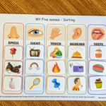 Explore Your Five Senses Printable Free Worksheet For Kids