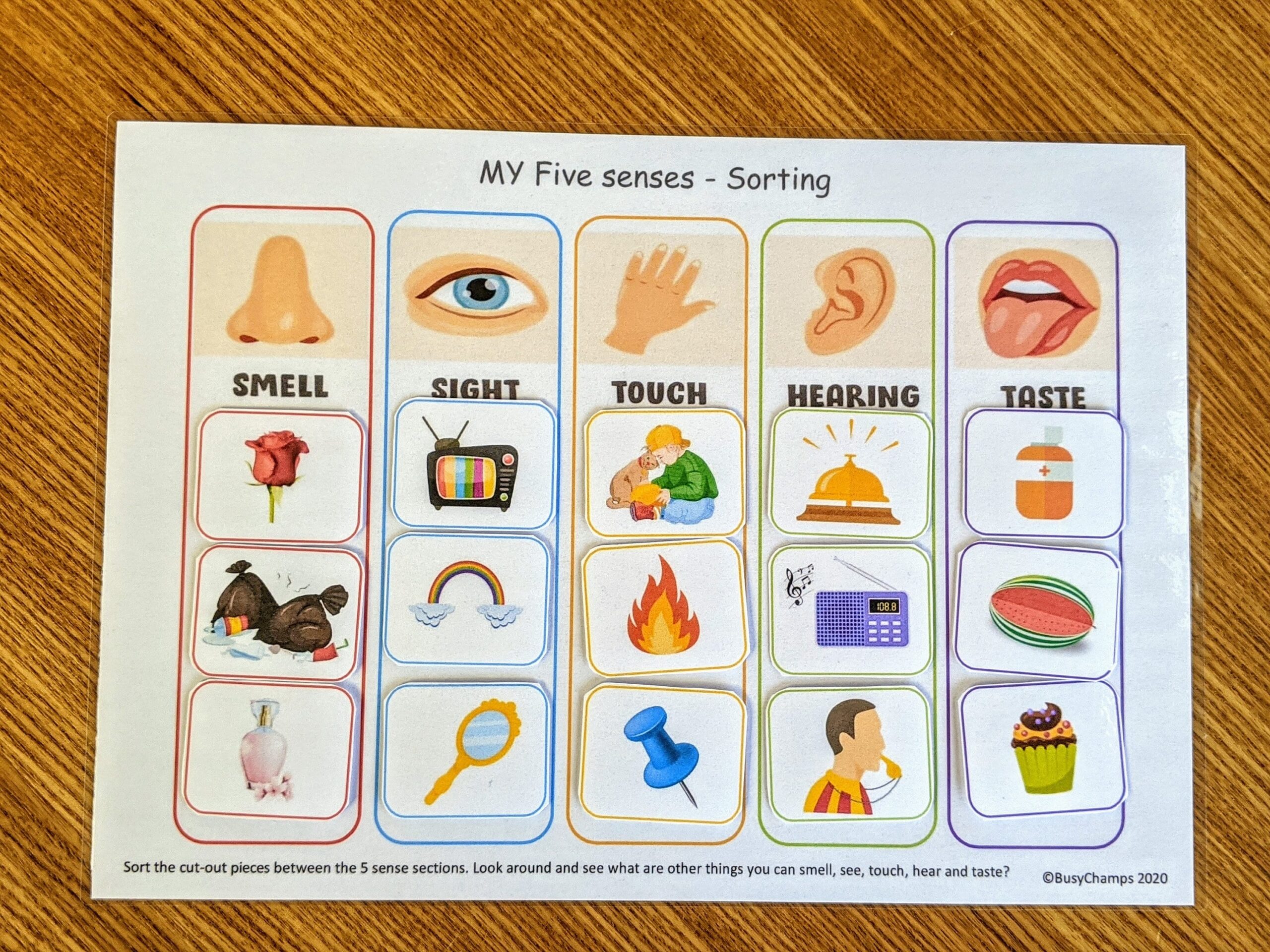 Explore Your Five Senses Printable Free Worksheet For Kids 