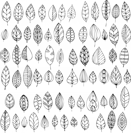 Fall Leaves Coloring Pages