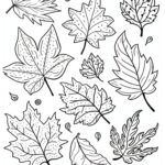 Fall Leaves Coloring Pages For Kindergarten Infoupdate