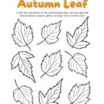 Fall Leaves Coloring Pages For Kindergarten Infoupdate