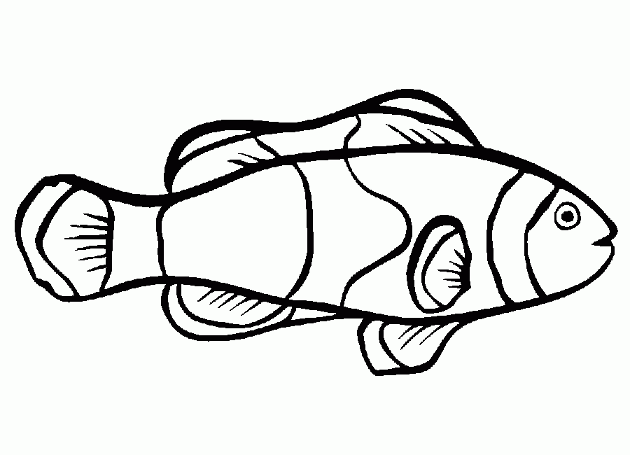 Fish Outline Printable Coloring Home