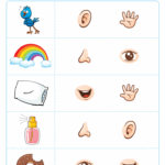 Five Senses Worksheet Preschool PreschoolWorksheet