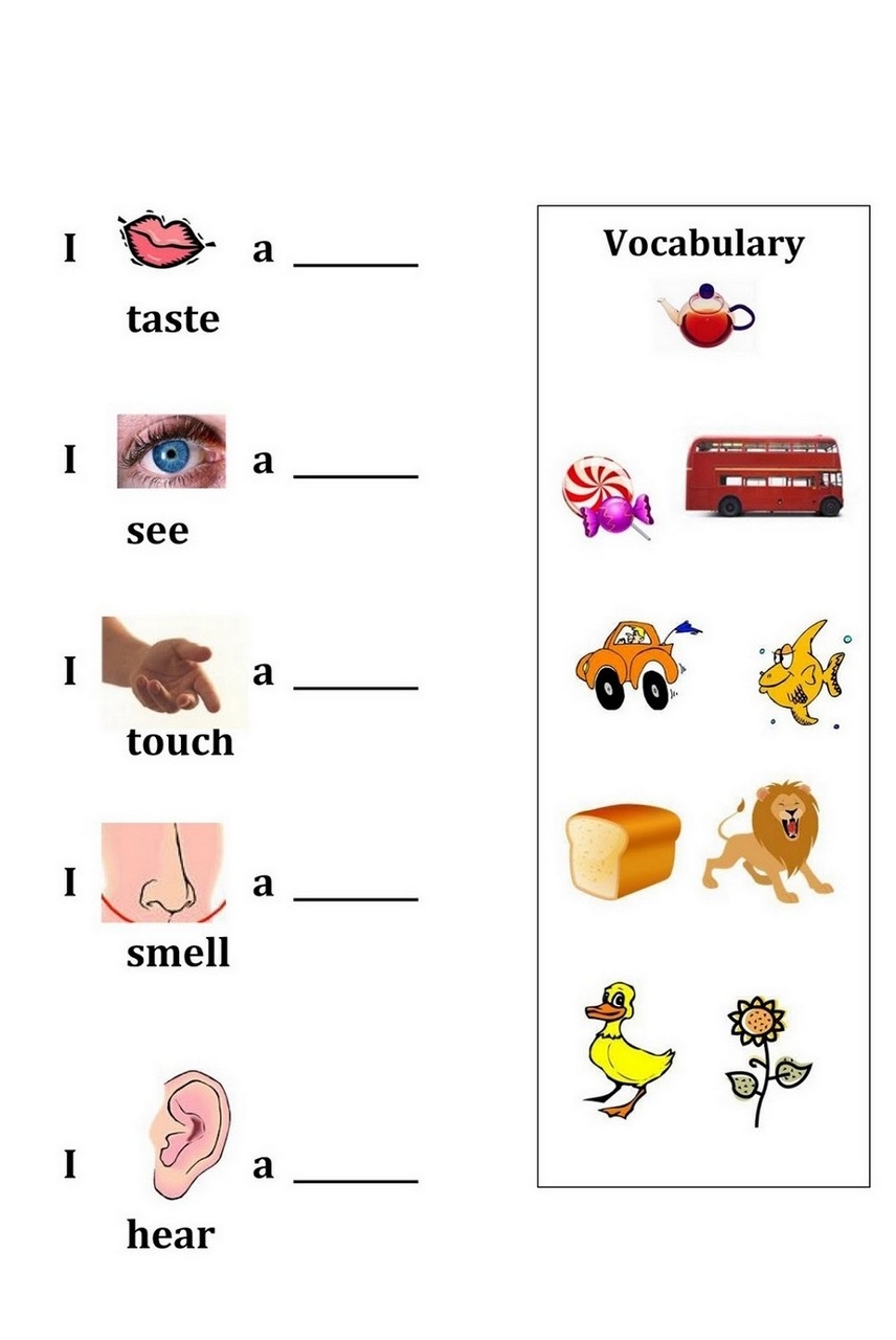 5 senses worksheet preschool