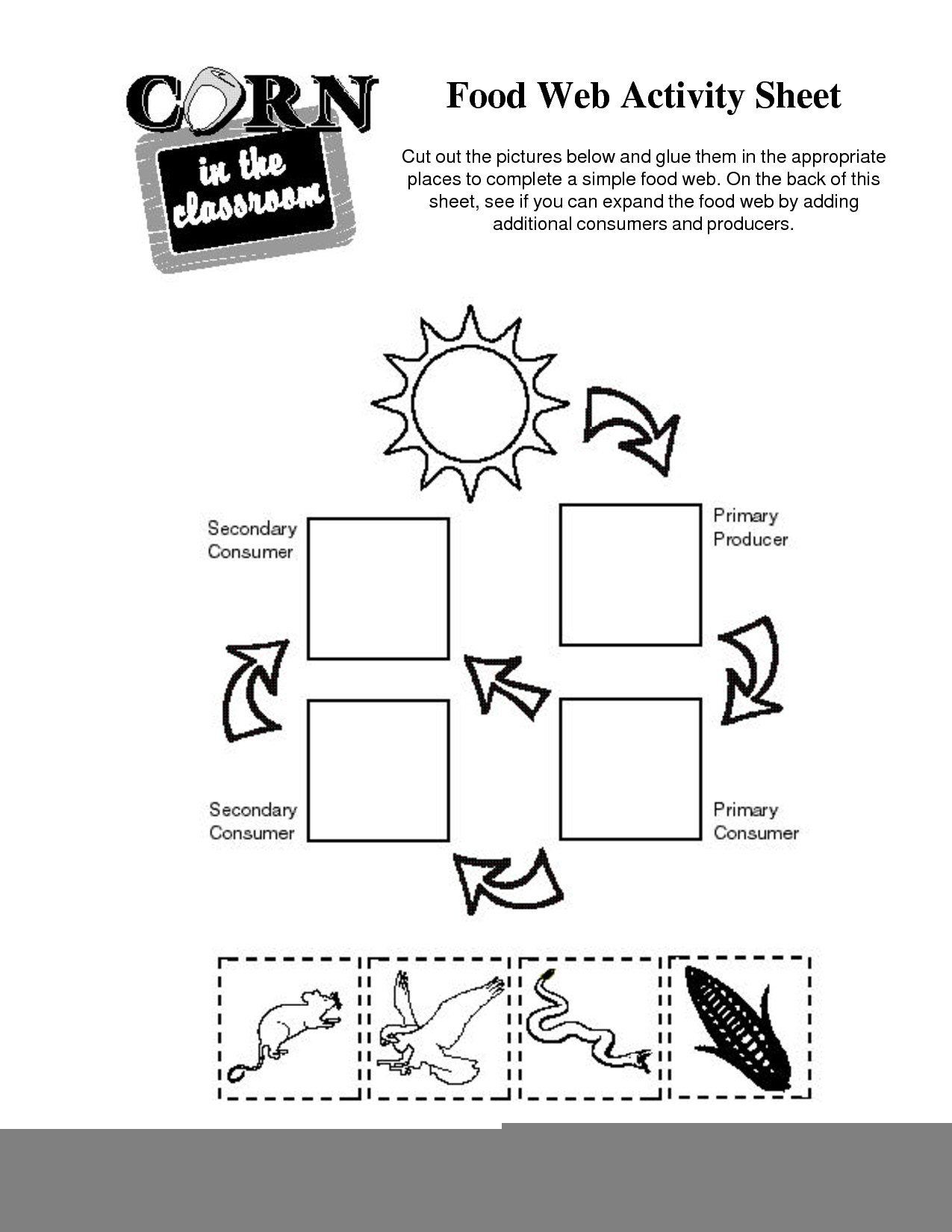 Food Webs And Food Chains Worksheet Food Chain Printable Worksheets 