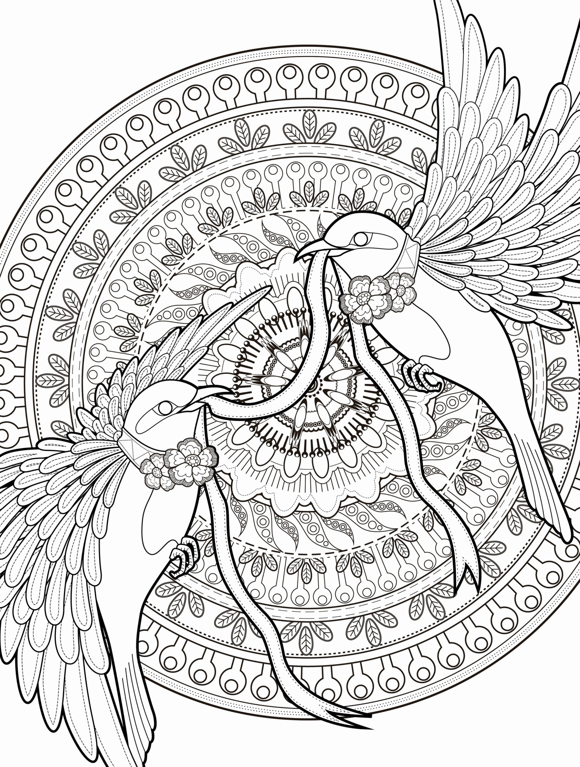 Free Adult Coloring Pages