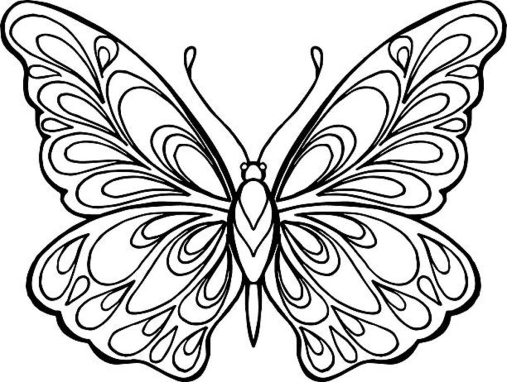 Free Butterfly Color Pages A Colorful Adventure For Kids