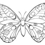 Free Butterfly Coloring Page Free Printable Coloring Pages For Kids