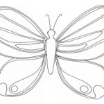 Free Butterfly Coloring Pages Printable Printable edu pe