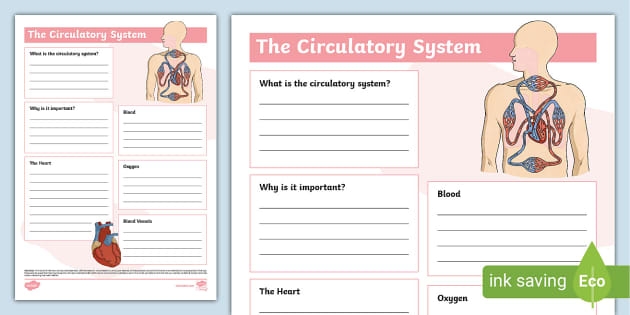 Free Circulatory System Printable Worksheet Download Free Circulatory