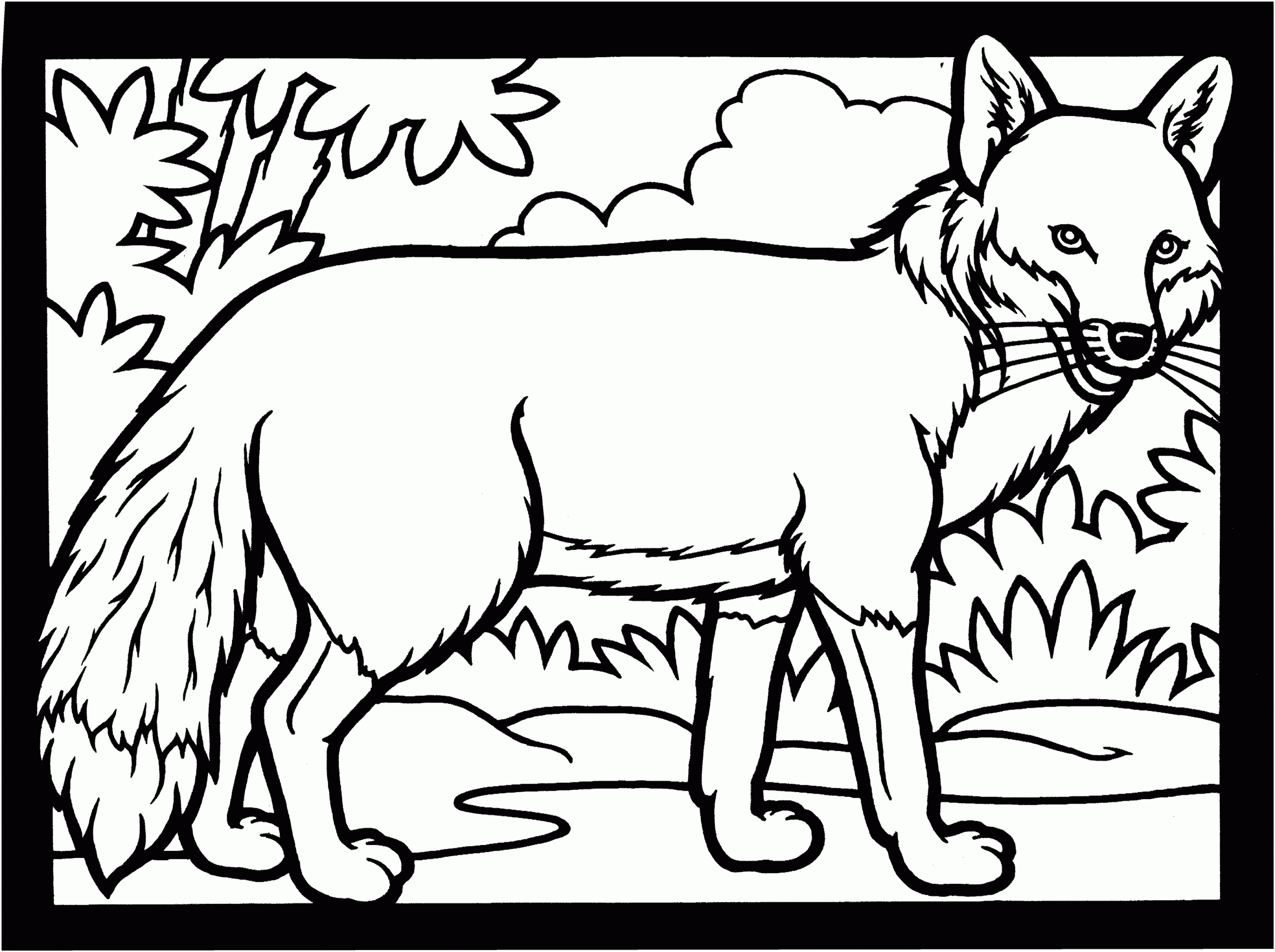 Free Fox Coloring Pages