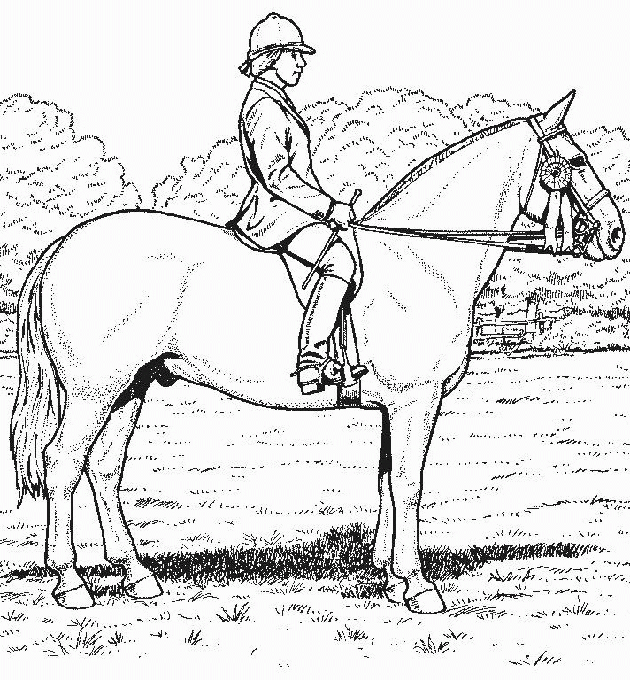 horse coloring pages for free