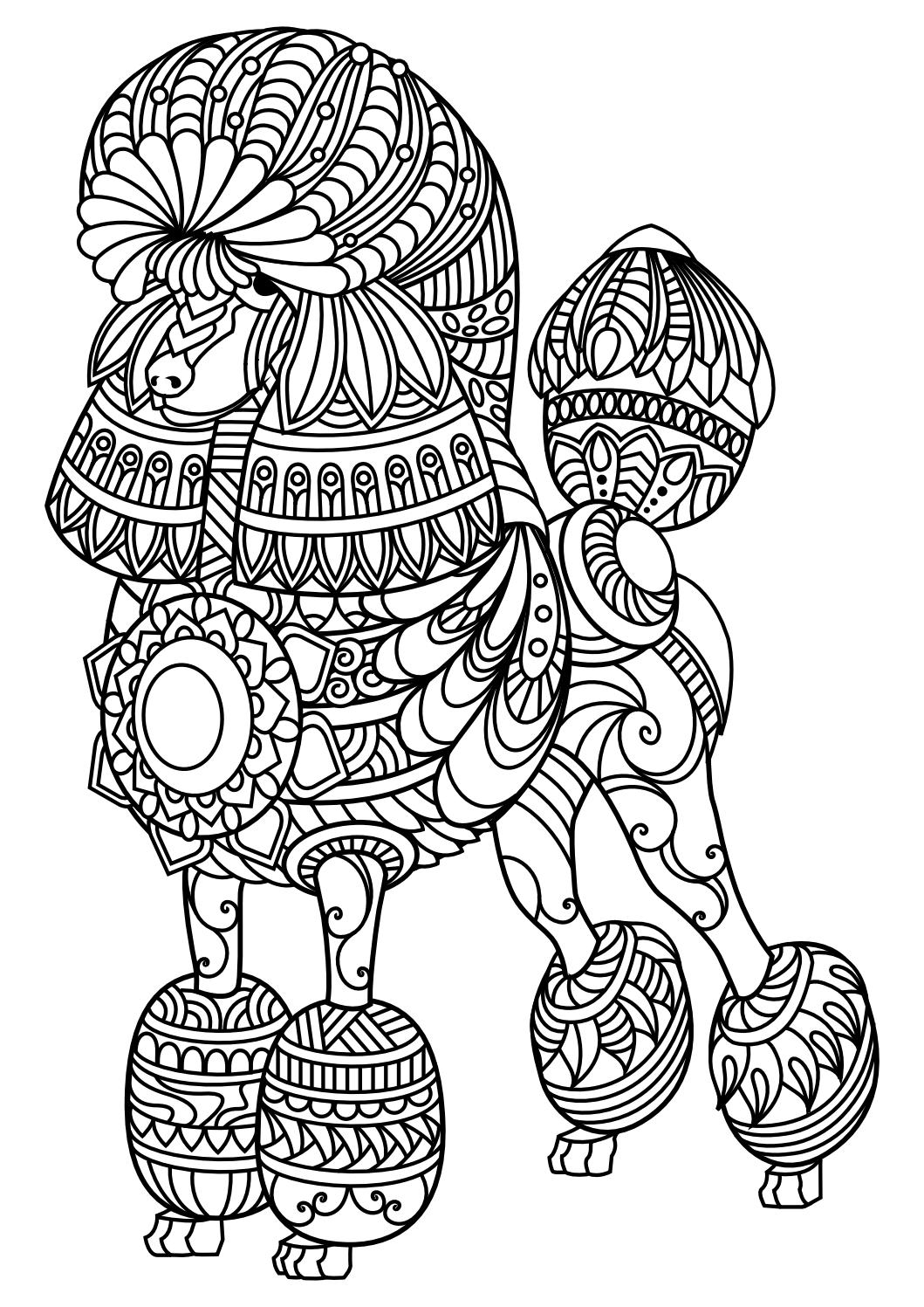 Free Pdf Adult Coloring Pages At GetDrawings Free Download