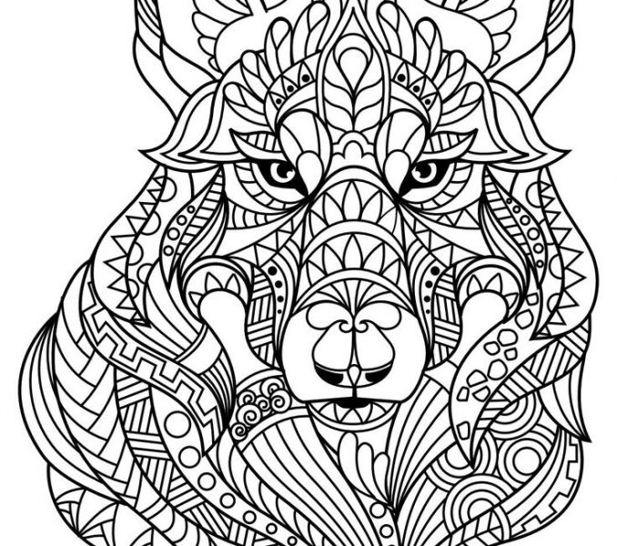 free pdf adult coloring pages