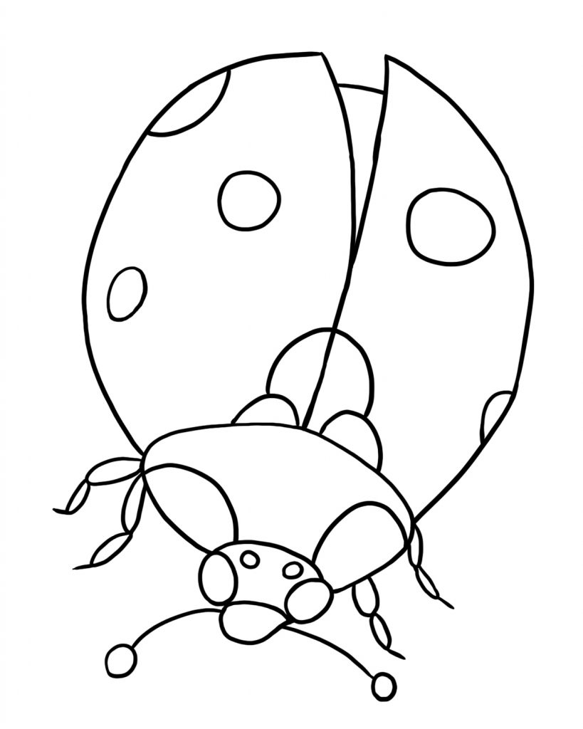 Free Printable Bug Coloring Pages For Kids