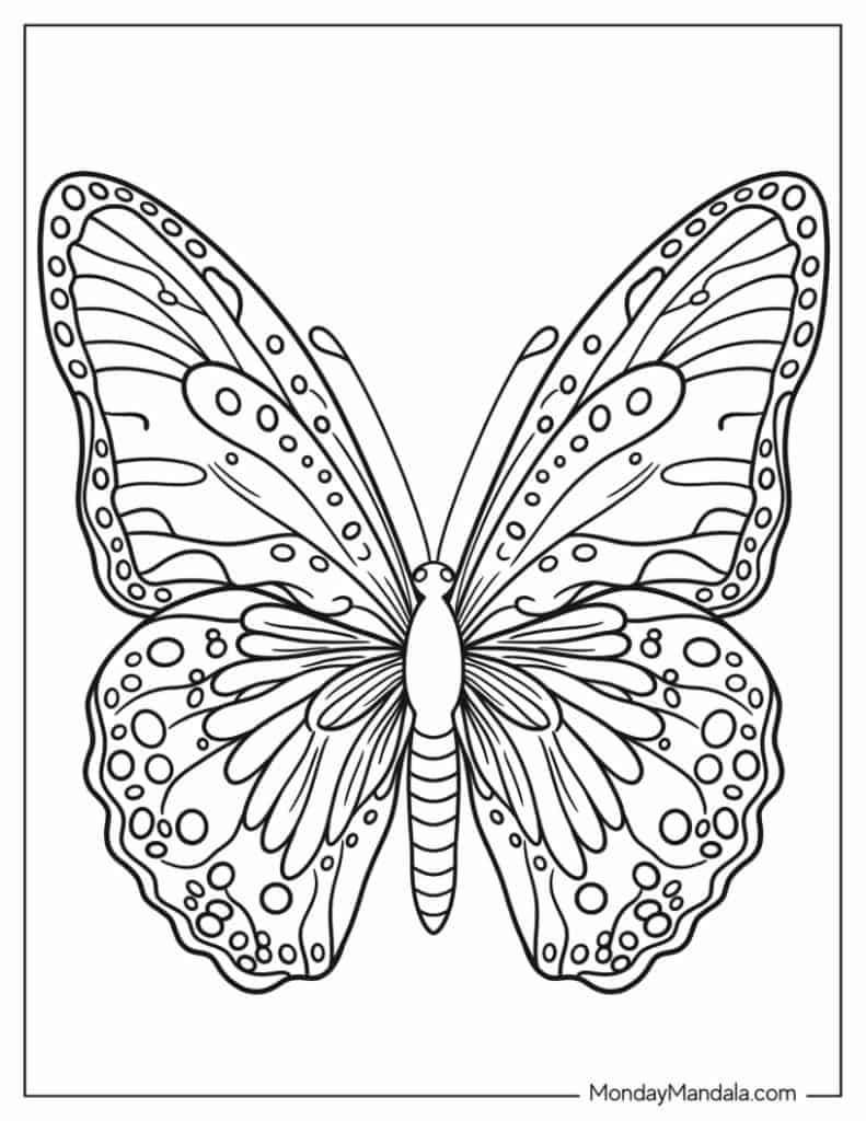 free butterfly coloring pages printable
