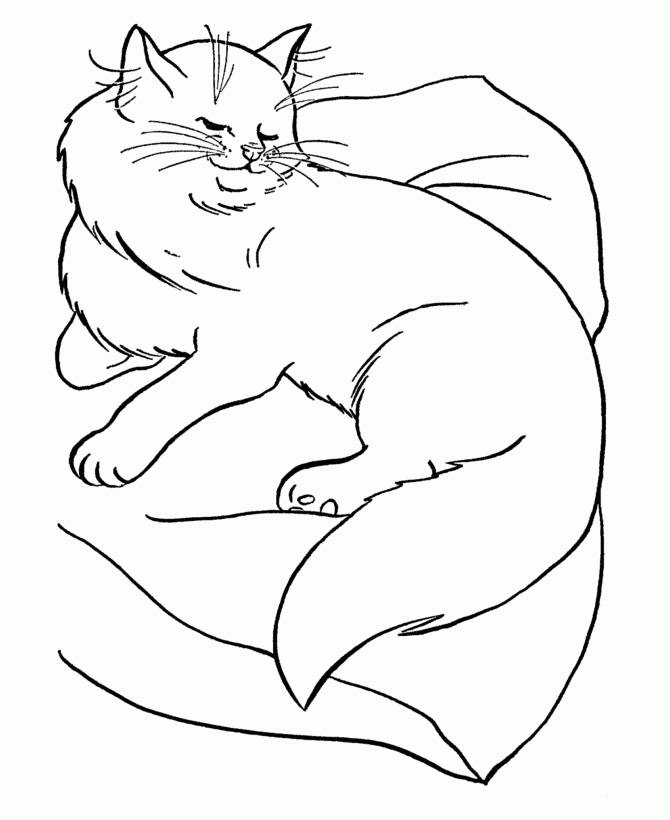 cat coloring pages free