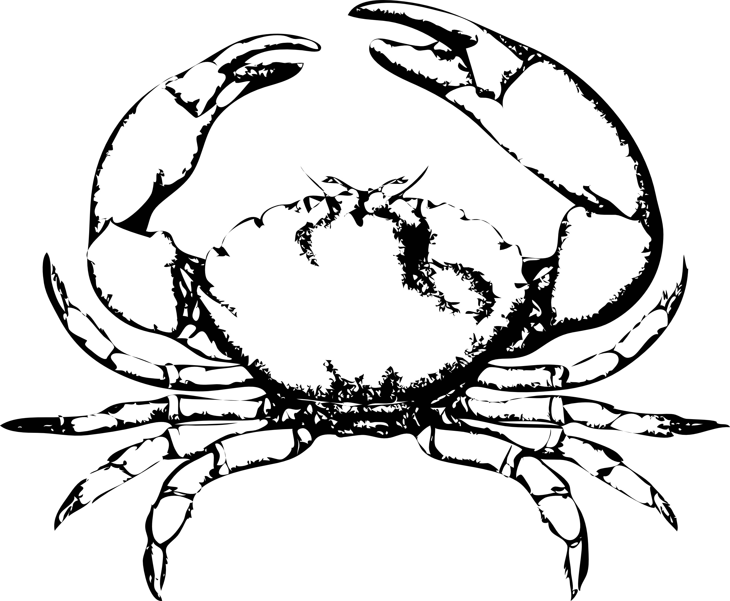 Free Printable Crab Coloring Pages For Kids Animal Place