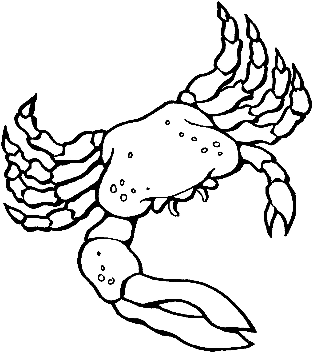 Free Printable Crab Coloring Pages For Kids Animal Place
