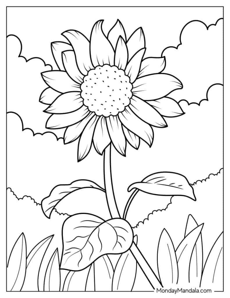 Free Printable Daisy Flower Coloring Pages For Students Infoupdate
