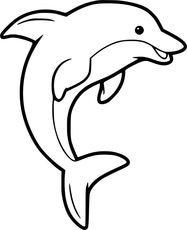 printable dolphin pictures
