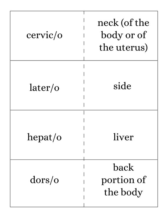 Free Printable Flashcards Medical Terminology Download Free Printable 