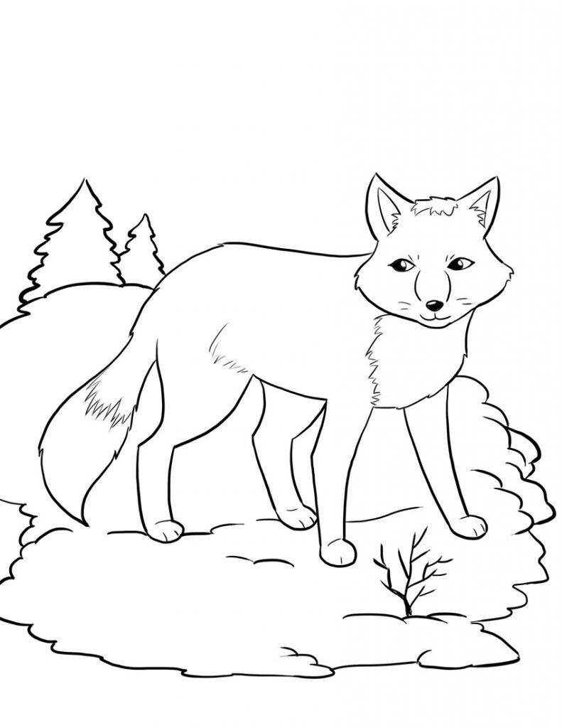 free fox coloring pages