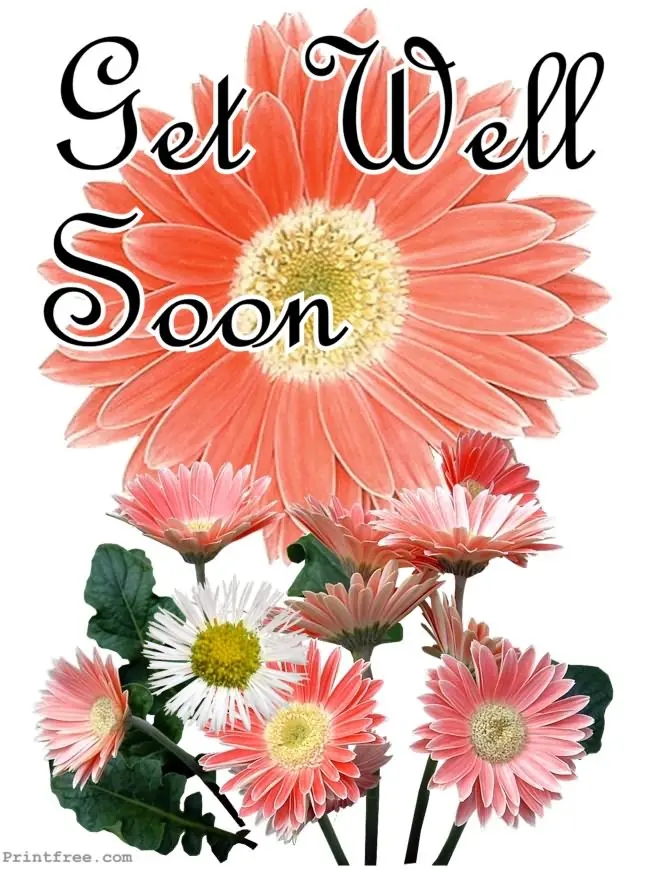 Free Printable Get Well Cards