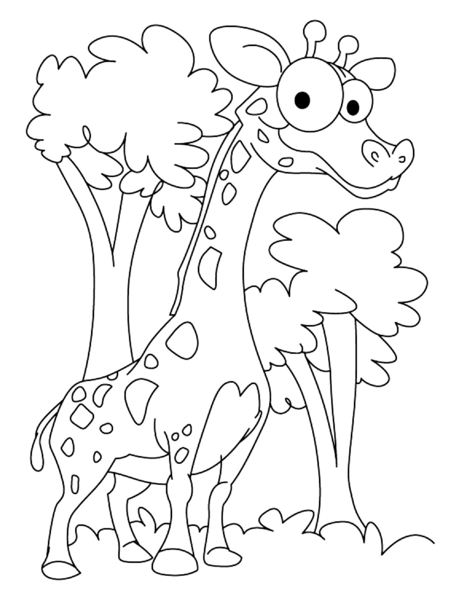 Free Printable Giraffe Coloring Pages Free Printable Giraffe Coloring 