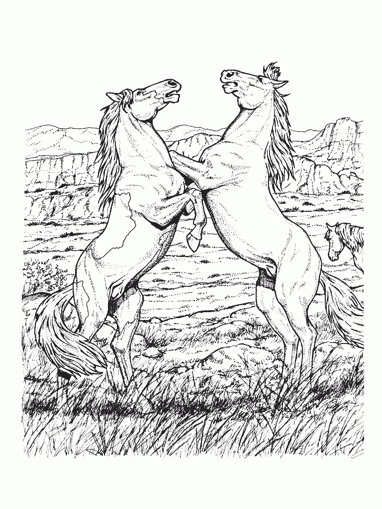 free horse coloring pages printable