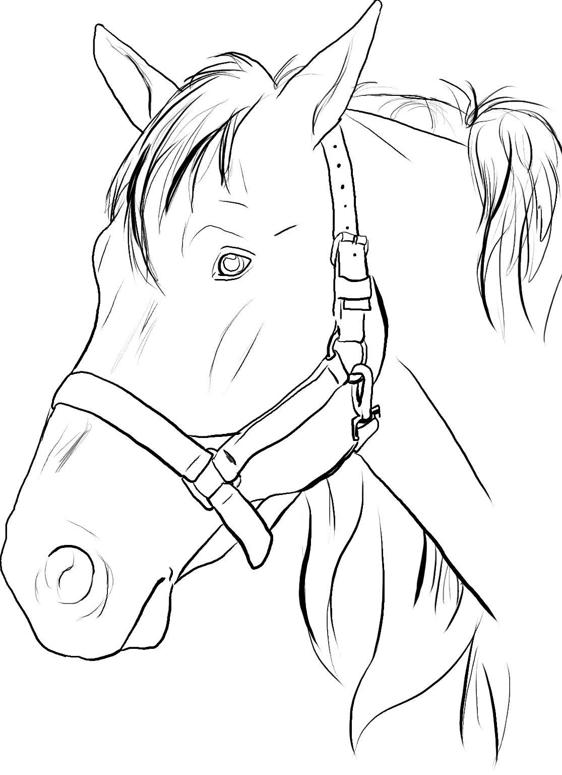 Free Printable Horse Coloring Pages For Kids Animal Place